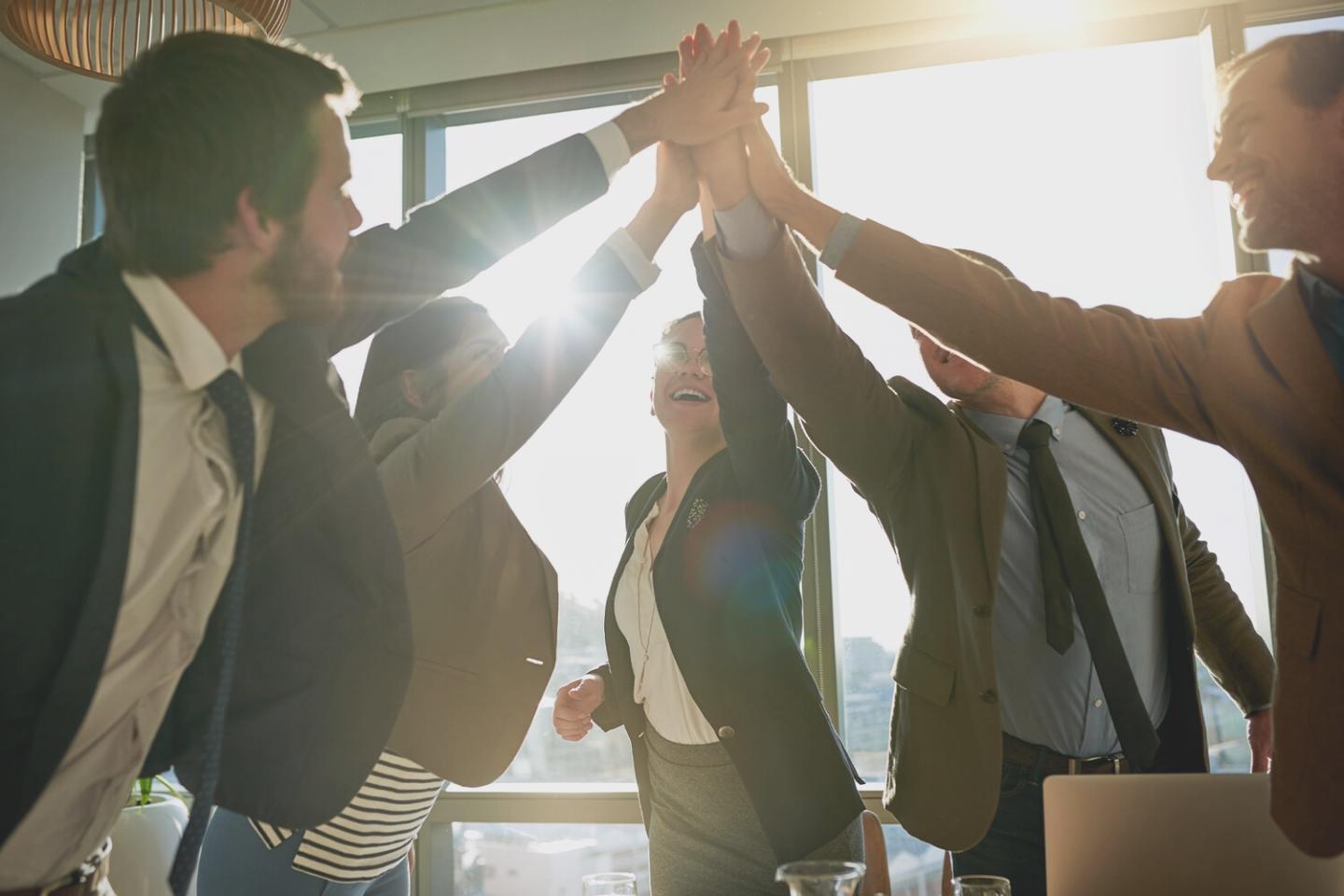 Localisation Nerivexola à Lille